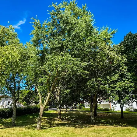 T3 Moderne Avec Balcon Terrasse Et Parking Gratuit *