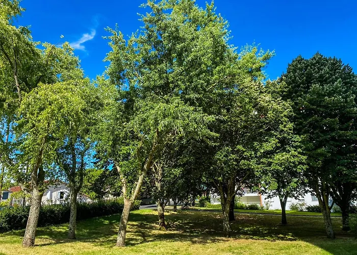 T3 Moderne Avec Balcon Terrasse Et Parking Gratuit *